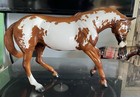 Peter Stone performance Horse le 500 heza Night Train chestnut Paint very Good
