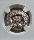 Ionia Isl Of Samos Lion   Bull Tetradrachm Ngc Ch Xf Ancient Silver Coin