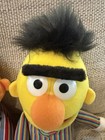 Sesame Workshop Sesame Place Sesame Street Bert   Ernie Plush Toy Stuffed Dolls