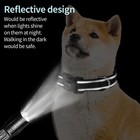 New Reflective Padded Dog Collar  Adjustable Breathable Safety Strap  Fast Shipp