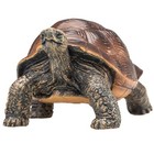Mojo Giant Turtle Realistic International Wildlife Toy Replica Hand Painted   