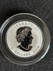 Canadian Silver Maple In Capsule W  Bigfoot Privy 2016 Rev Proof 1oz  9999 Fine
