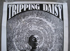 Vintage 1994 Tripping Daisy   Eve s Plumb Poster Frank Kozik Unfinished - Read