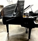 Yamaha G1 Baby Grand Piano W gp Disklavier System 5 3  Polished Ebony