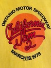 Stunning Original Vintage 1978 Aerosmith Heart California Jam 2 Womens T-shirt