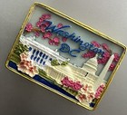 Washington Dc White House Tourist Souvenir 3d Resin Refrigerator Fridge Magnet