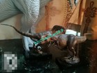Dino Dream Tyrannosaurus Rex   Velociraptor Dinosaur Statue Model Display
