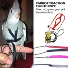 Pet Parrot Bird Harness Lead Leash Flying Training Rope Cockatiel Outdoor W4 Us