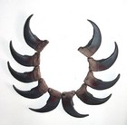 Large Imitation Grizzly Bear Claws 3  Polyresin Undrilled New