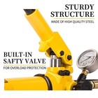 2 Speed Manual Hydraulic Pump 10000 Psi 900cc Single Acting Cp-700b With Hose