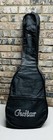 Acoustic Blue Guitar Beginners W guitar Case  Strap  Tuner  Pick  Extra Strings