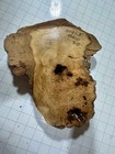 Bw11 Maple Burl Cap Live Edge 10x9x1 Birds Eye Curly Crafting Epoxy Project 8 
