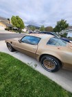 1979 Pontiac Trans Am 