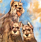 Schnauzer Dogs Plate Vintage My 1981 Signed Favorite Pets By Leo Jansen Kerns
