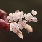 Glass Flower Hairpin Tassel Hanfu Hair Clip Vintage Style Chinesestyle Headpiece