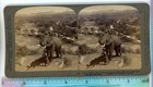 Elephant   Keeper Hillside Of Ceylon Underwood Stereoview