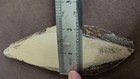 Antique Vintage Belgian Coticule Bout Razor Hone Natural Sharpening Stone