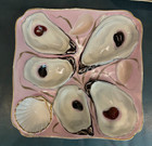 2 Antique  Oyster Plates  Circa 1800 s Pink And Blue