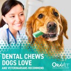 Oravet Dental Chews     Small Dogs 10   24 Lbs  30 Ct