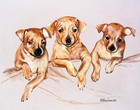 Original Minature Pinscher Puppies  Watercolor By Martha Van Loan 12x 14 Matted