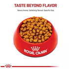 2 Packs  Royal Canin Adult Dry Dog Food - Shih Tzu Breed Health Nutrition  10 Lb