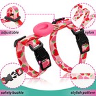 Cat Harness And Leash Escape Proof Nylon Adjustable For All Cats Walking Outdoor