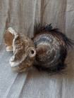 Png Talipun Mask Sepik Bride Dowry Artifact  Shell  Basketry   Cassowary Feather