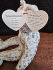 Ty Beanie Babies Collection The Beginning Bear Rare With Errors On Tags