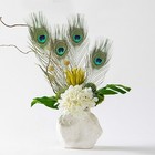 10 Pcs Real Natural Peacock Eye Feathers 10-12 Inch For Diy Craft  Wedding Us