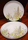 1970 s 4pc Plates 9 5  Floral Wild-flower Design-mid-century-farmhouse Vtg   E26