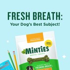 Dog Dental Chews  Vet-recommended Mint Bones Clean Teeth  Freshen Breath  