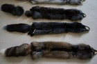 Tanned Silver Fox Pelt Female Ranch Fox Fur Hide Soft Silky Partial Back Feet