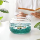 Green Glass Aquarium Gravel Pebbles 2 Lb Fish Tank Decor Accessories Supplies