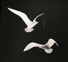 Seagull Duo Kinetic Mobile New Direct By John Perry 16in Wingspan Hovering Style