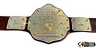 Big Gold Cnc Hd Wrestling Championship Title Replica 6mm Zinc Belt 24kt Gold New