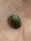 Vtg Rare Czech Glass Egyptian Revival Victorian Art Deco Cabochon Scarab Green