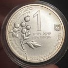 Silver - World Coin - 1993 Israel 1 New Sheqel - World Silver Coin