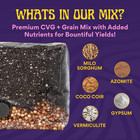 6 Lb All-in-one Mushroom Grow Kit In Bag  spores Not Included 