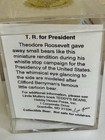 Little Gem Miniature Teddy Bear Linda Mullins Tr For President