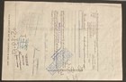 The Buckeye Pipeline Company Stock Certificate 100 Shares