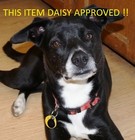 300 P Ajax Retainer Spring F  15 Lb Pneumatic Chipping Hammer F  3400 4000 Nose