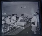 Civil Defense Feeding Training Photo Negative 1957 Ladies On The Serving Line
