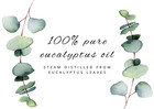 4 Fl Oz Eucalyptus Globulus Essential Oil Pure All Natural With 3 Free Droppers