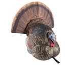 Avian-x Lcd Strutter Turkey Hunting Life-like Decoy  Multi Color  avx-avx8004