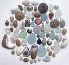 Genuine Surf Tumbled Sea Glass  From Japan Shell Mix