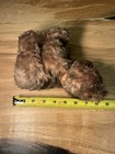 Rare Vintage German Steiff Bear dog Stuffed Animal Brown W  Orange Bow