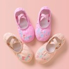 Girls Ballet Shoes Embroider Kids Dance Slippers Split Sole Shoes Dancing Shoes