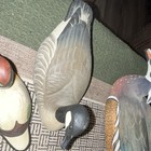 Lot Of 7 Wood Waterfowl Decoys - Canada Goose   Wood Duck  Multicolor
