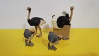 Schleich Lot Of 4 Ostrich 14325 14398 14610 African Wild Animal Figure Retired