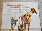 Vintage Walt Disney The Incredible Journey One Sheet Movie Poster